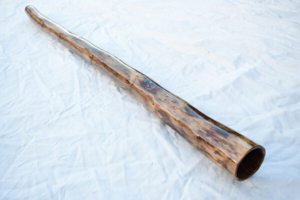 Didgeridoo #611  Key: D - Image 5