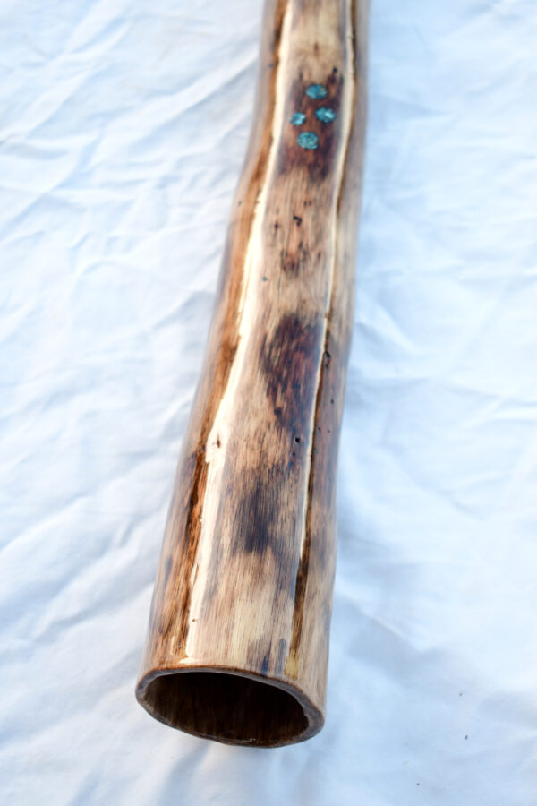 Didgeridoo #611  Key: D - Image 8