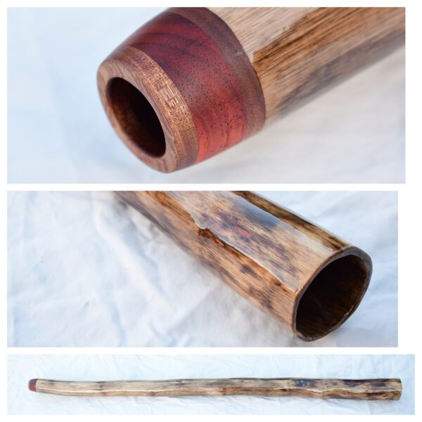 Didgeridoo #611  Key: D