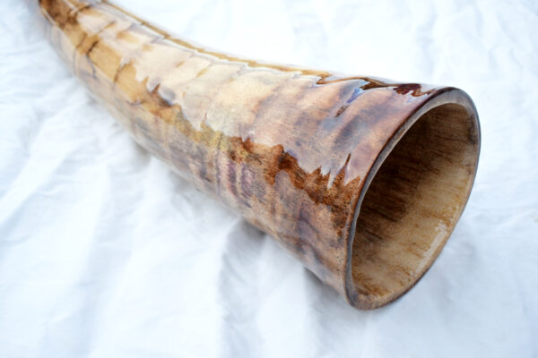 Didgeridoo #613  Key:  D - Image 3