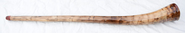 Didgeridoo #613  Key:  D - Image 4