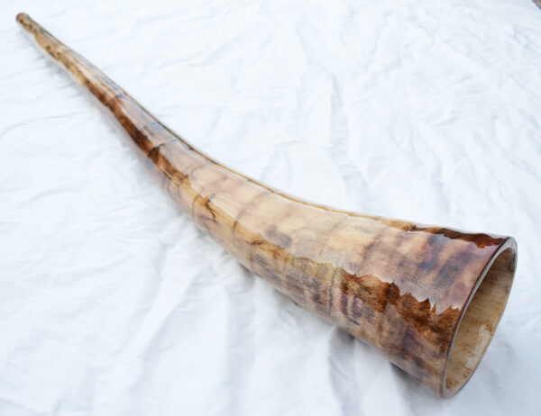 Didgeridoo #613  Key:  D - Image 5