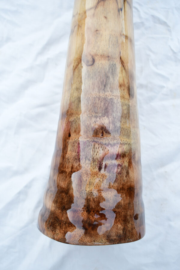 Didgeridoo #613  Key:  D - Image 6