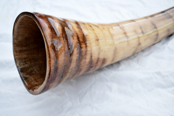 Didgeridoo #613  Key:  D - Image 7