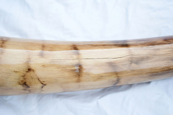 Didgeridoo #613  Key:  D - Image 9