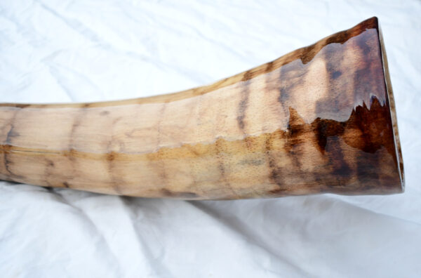 Didgeridoo #613  Key:  D - Image 10