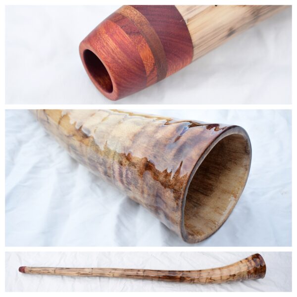 Didgeridoo #613  Key:  D