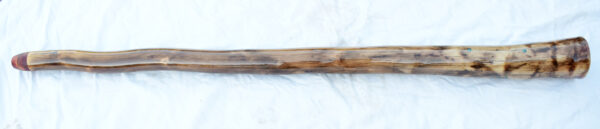 Didgeridoo #615  Key: B - Image 3