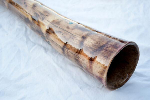 Didgeridoo #615  Key: B - Image 4