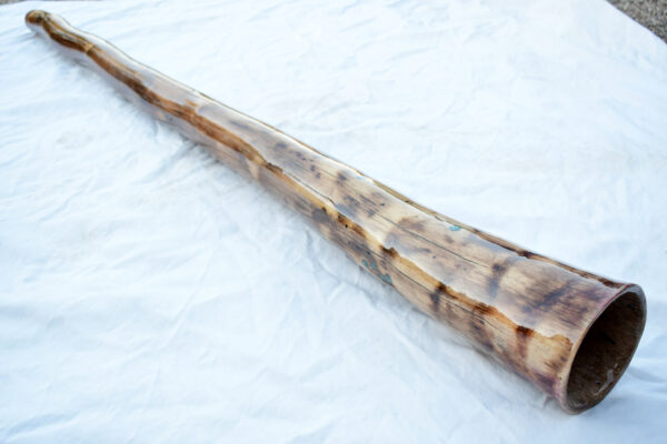 Didgeridoo #615  Key: B - Image 5