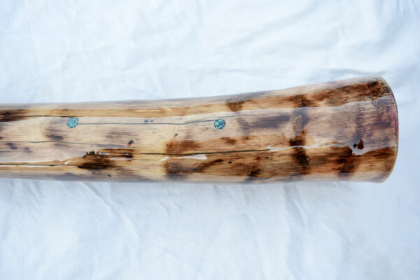 Didgeridoo #615  Key: B - Image 8