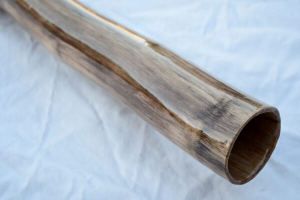 Didgeridoo #616  Key: C# - Image 3