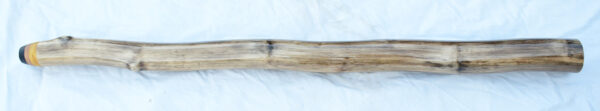 Didgeridoo #616  Key: C# - Image 4