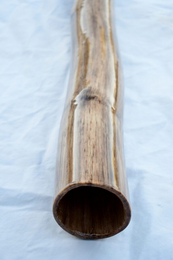 Didgeridoo #616  Key: C# - Image 8