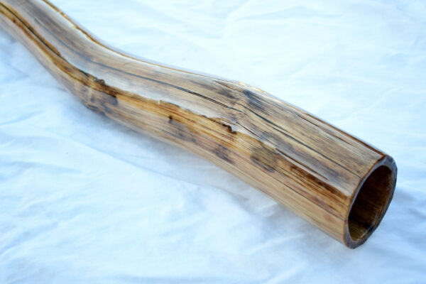 Didgeridoo #618  Key: C# - Image 3