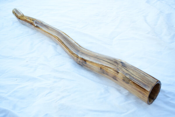 Didgeridoo #618  Key: C# - Image 5