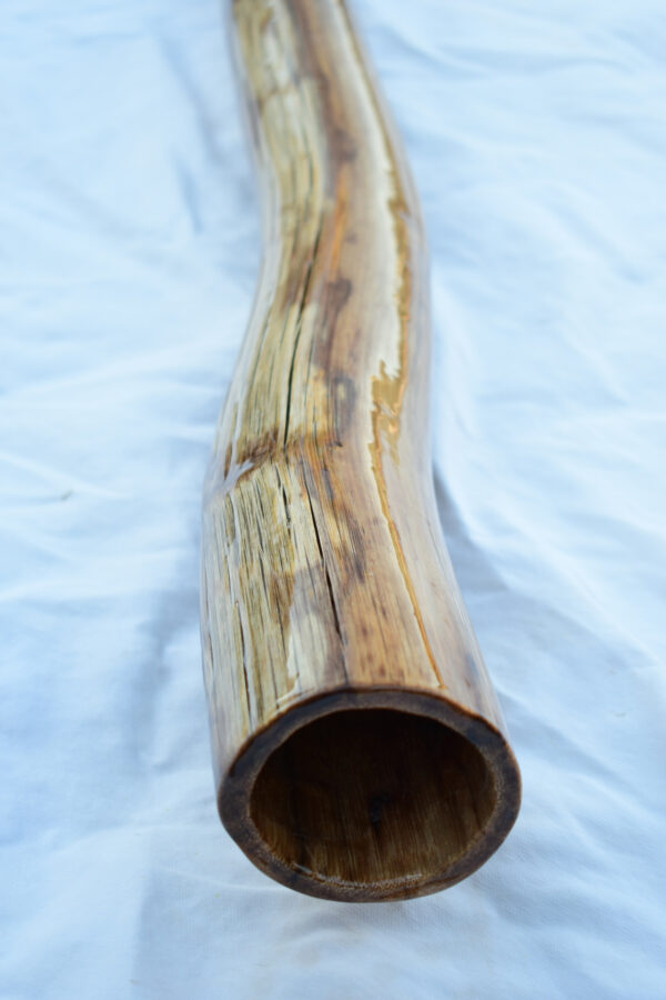 Didgeridoo #618  Key: C# - Image 8