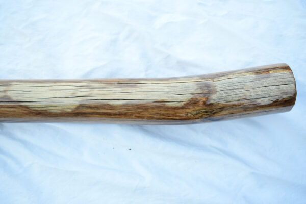 Didgeridoo #618  Key: C# - Image 9