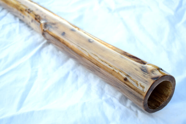 Didgeridoo #619  Key: D - Image 3