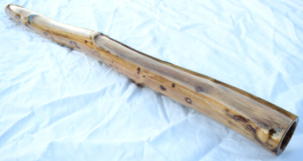 Didgeridoo #619  Key: D - Image 5