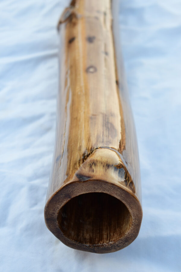 Didgeridoo #619  Key: D - Image 7