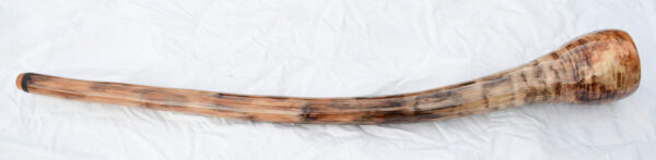 Didgeridoo #625   Key: D# - Image 4