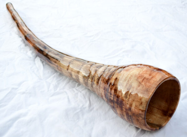 Didgeridoo #625   Key: D# - Image 5