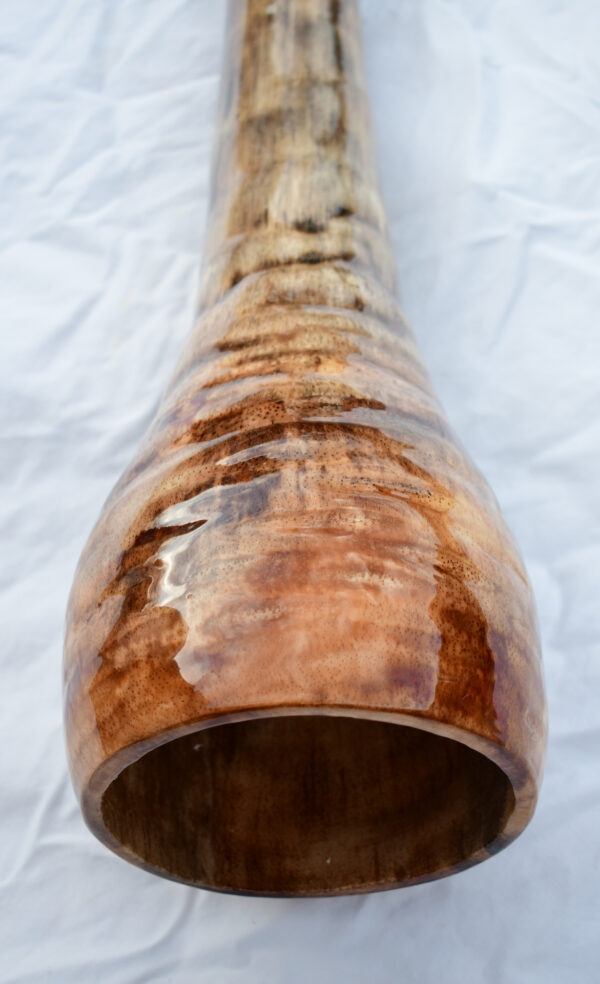 Didgeridoo #625   Key: D# - Image 6