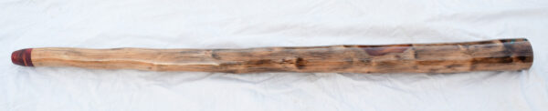 Didgeridoo #634  Key: B - Image 4