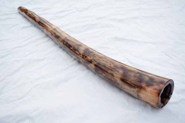 Didgeridoo #636  Key: C# - Image 5