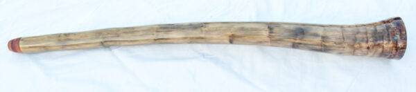 Didgeridoo #637  Key: D# - Image 4