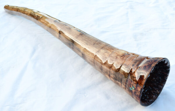 Didgeridoo #637  Key: D# - Image 5