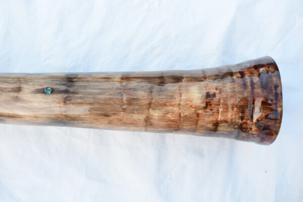 Didgeridoo #637  Key: D# - Image 7