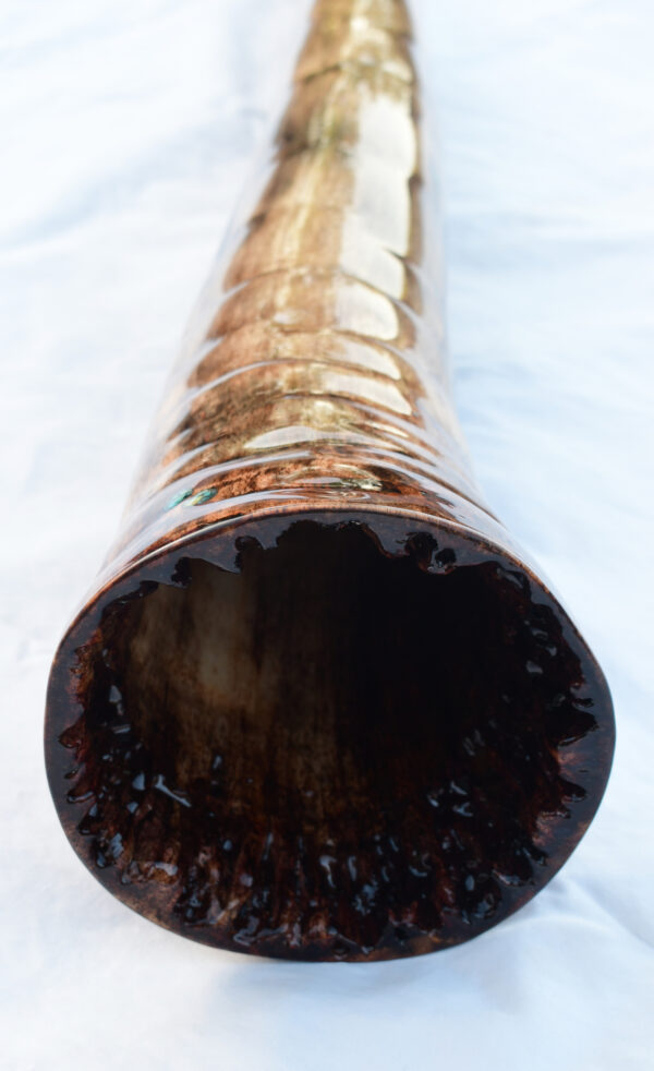 Didgeridoo #637  Key: D# - Image 8