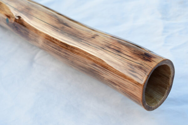 Didgeridoo #638  Key: C#/C - Image 4