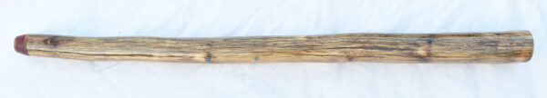 Didgeridoo #639  Key: D# - Image 4