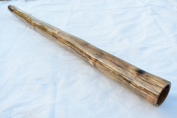 Didgeridoo #639  Key: D# - Image 5