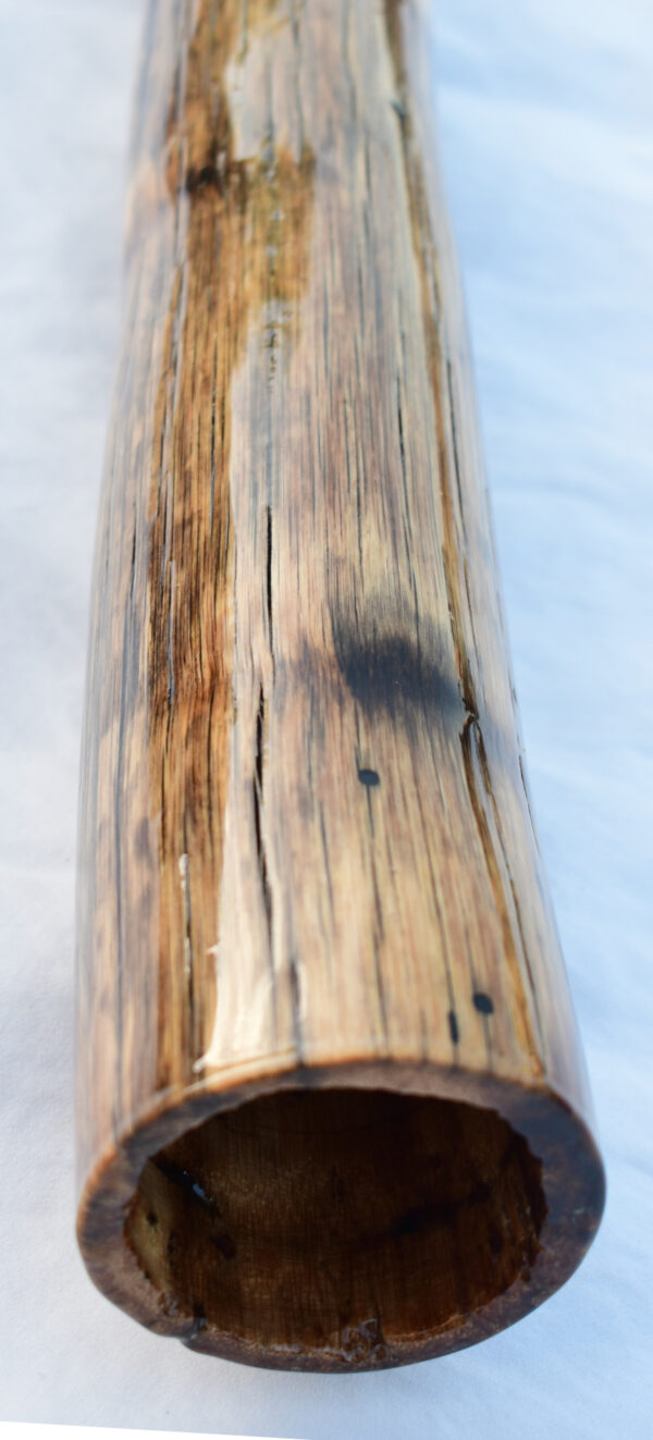 Didgeridoo #639  Key: D# - Image 7