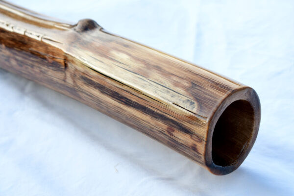 Didgeridoo #640  Key: C - Image 3