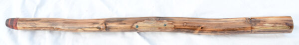 Didgeridoo #640  Key: C - Image 4
