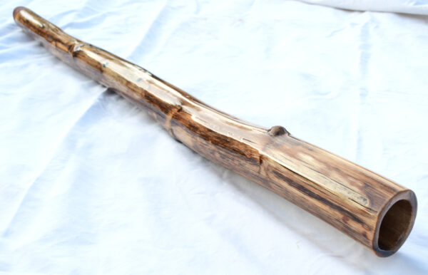 Didgeridoo #640  Key: C - Image 5
