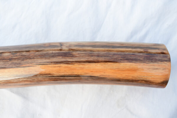 Didgeridoo #640  Key: C - Image 10