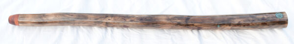 Didgeridoo #641  Key: C - Image 4