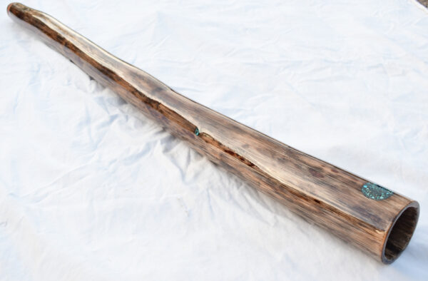 Didgeridoo #641  Key: C - Image 5
