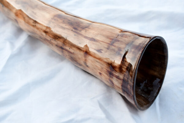 Didgeridoo #642  Key: E - Image 3