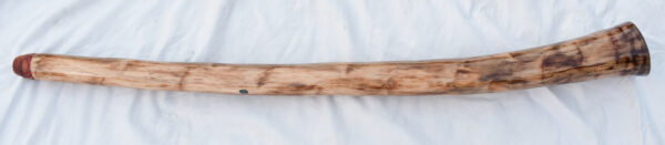 Didgeridoo #642  Key: E - Image 4