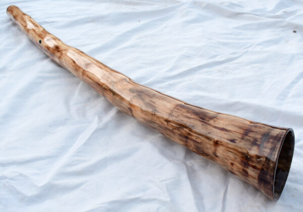 Didgeridoo #642  Key: E - Image 5