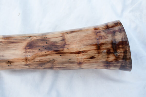 Didgeridoo #642  Key: E - Image 7
