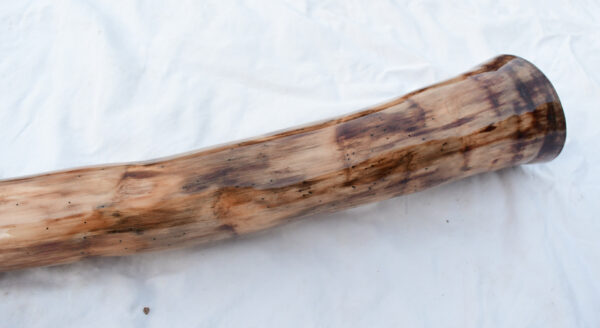 Didgeridoo #642  Key: E - Image 9