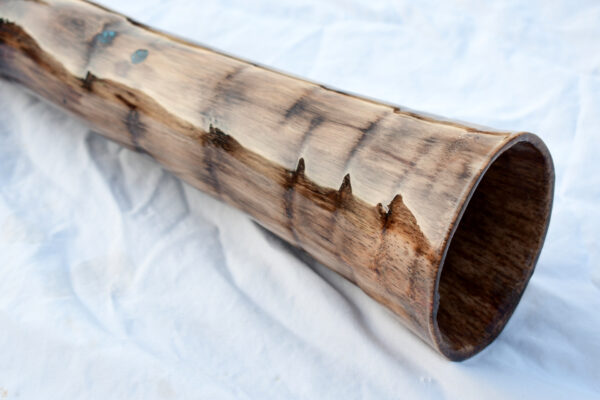Didgeridoo  #643  Key: D - Image 3